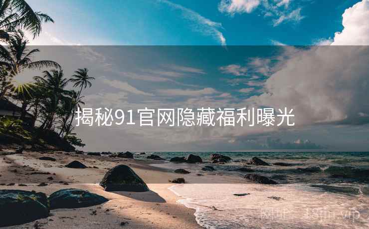 揭秘91官网隐藏福利曝光