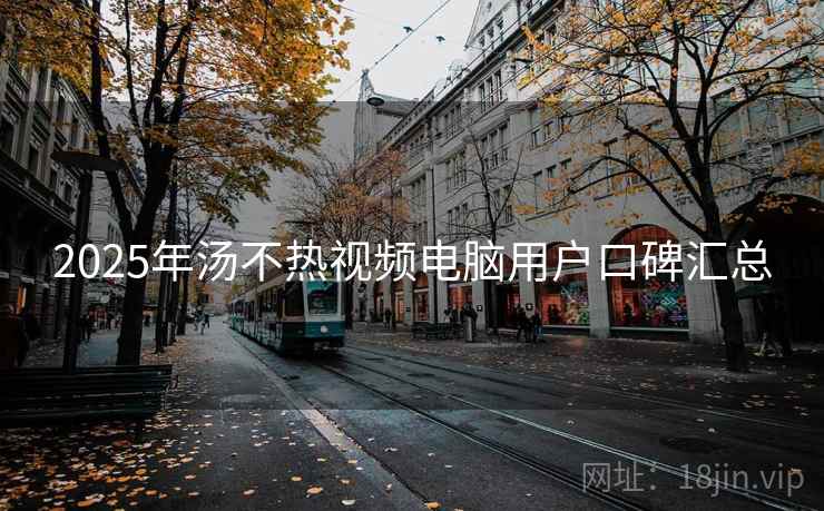 2025年汤不热视频电脑用户口碑汇总