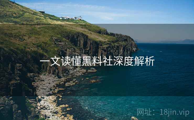 一文读懂黑料社深度解析