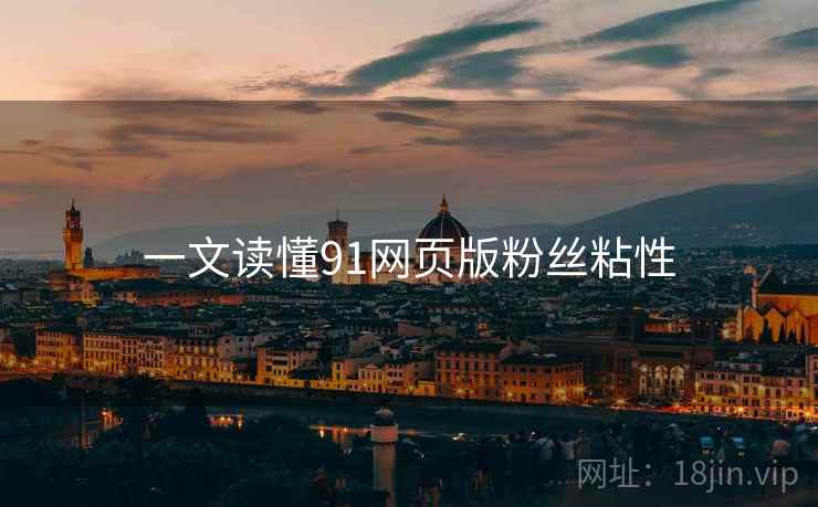 一文读懂91网页版粉丝粘性