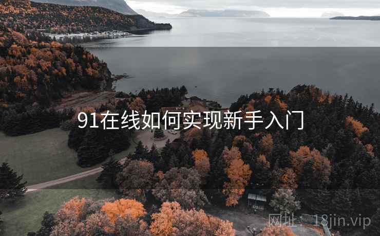 91在线如何实现新手入门