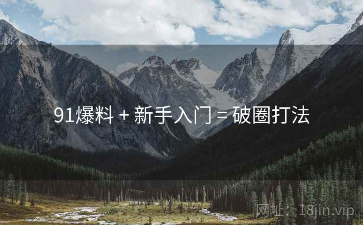 91爆料 + 新手入门 = 破圈打法