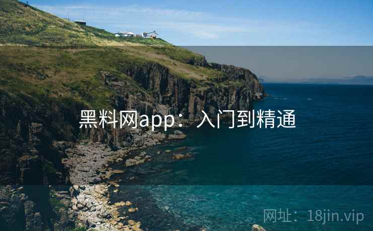 黑料网app：入门到精通