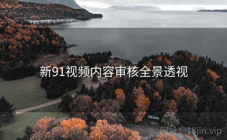 新91视频内容审核全景透视
