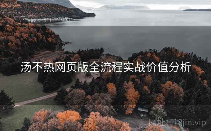 汤不热网页版全流程实战价值分析