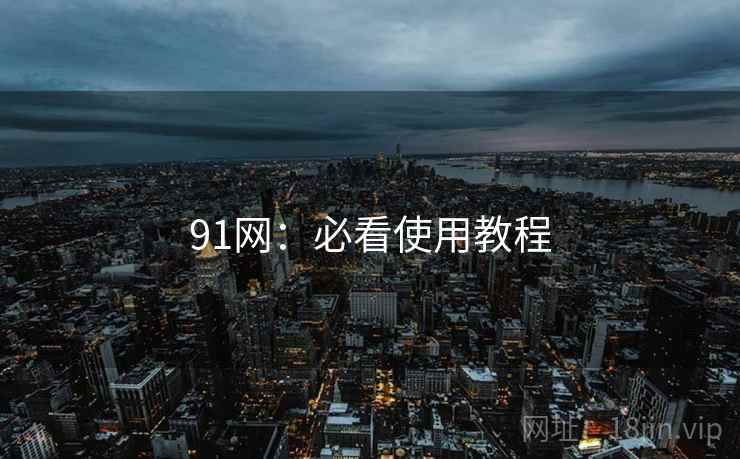 91网：必看使用教程
