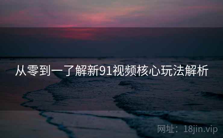 从零到一了解新91视频核心玩法解析