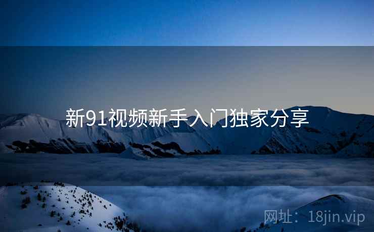 新91视频新手入门独家分享