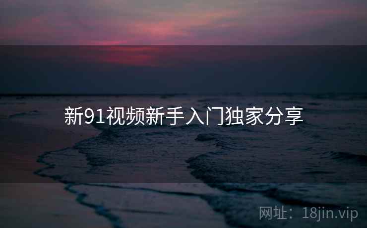 新91视频新手入门独家分享