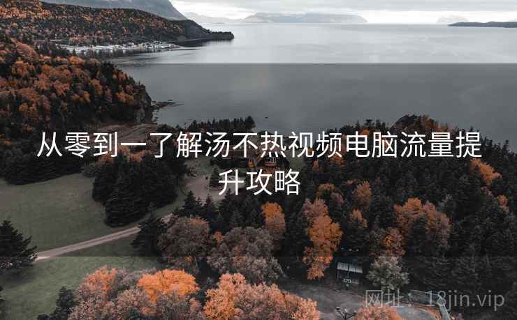 从零到一了解汤不热视频电脑流量提升攻略