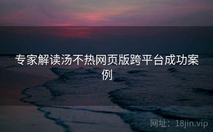 专家解读汤不热网页版跨平台成功案例